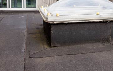 disadvantages of Bishopstrow flat roofs