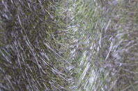 Bishopstrow fibreglass roof work